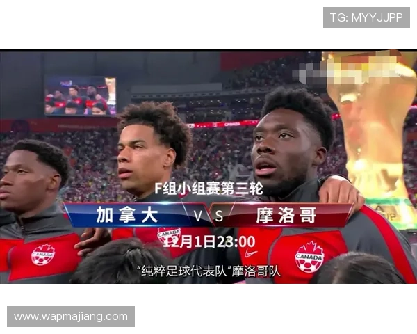 加拿大对阵卡塔尔比赛胜负分析与赛前预测详解